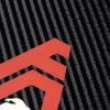 POLARIS_logo details