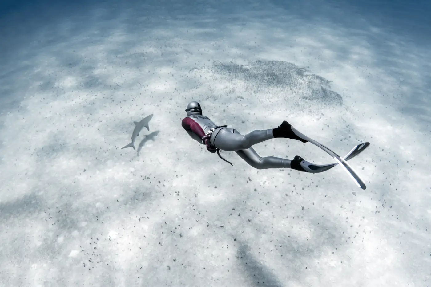 freediving