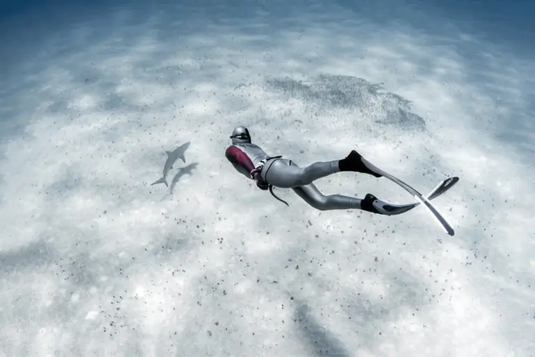 freediving